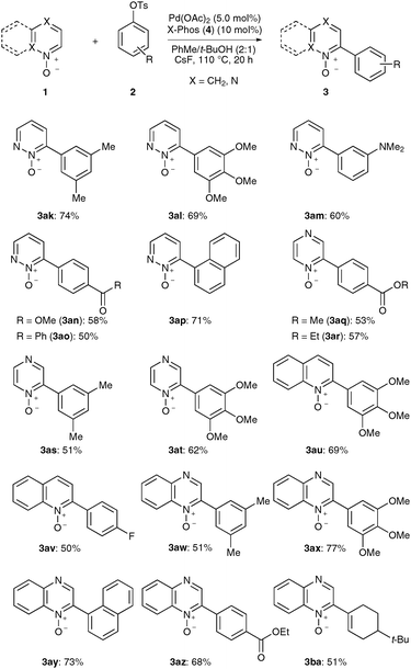 Scope of direct arylations with electron-deficient N-oxides 1.