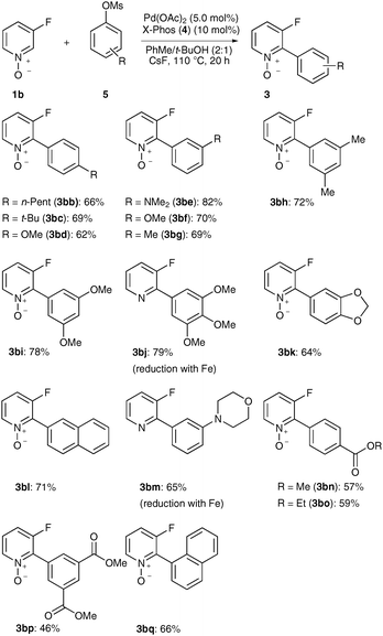 Direct arylations of N-oxide 1b with aryl mesylates 5.