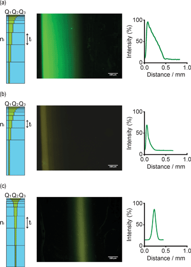 Generation of three types of model gradients by hydrodynamic flow focusing of FITC-BSA-Biotin on NeutrAdvidin-conjugated PEG gels. Fluorescent micrographs and graphical representations obtained by image analysis of a linear (a), exponential (b) and Gaussian (c) gradients (scale bar = 100 μm). Schemes on the left of each gradient depict the step-wise flow focusing process with the two buffer streams (Q1 and Q3) flanking the protein stream Q2. Flow rates were maintained constant for a time ti for each step ni.