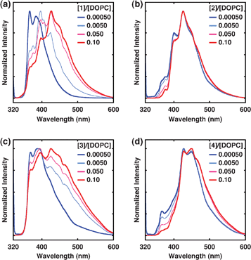 
          Fluorescence spectra of 200 μM DOPC giant unilamellar liposomes in water containing (a) 1, (b) 2, (c) 3 and (d) 4 with excitation at 315 nm. [1–4]/[DOPC] = 0.00050, 0.0050, 0.050 and 0.10.