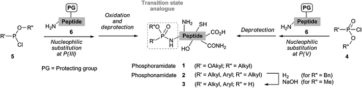 
          Phosphonamidate synthesis.