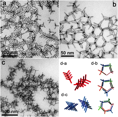 
          Assemblies of ZnTe/CdTe tetrapods. Fragments of treeing (a) and interlacing (c) of tetrapods induced by PEG-MA and oleic acid respectively. Honeycomb-like networks of tetrapods (b) formed with PMMA present in solution. Models of the various assemblies are sketched in the bottom right panel.