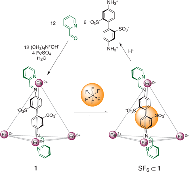 Synthesis of 1 (left) and its sequestration of SF6 to form [SF6⊂1] (right).