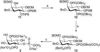 The synthesis of the 5-position-modified InsP3 derivative 2. Reagents and conditions: a. i. TBAF, THF, 89%; ii. 1. (BnO)2PNiPr2, 1H-tetrazole, CH2Cl2; 2. mCPBA, CH2Cl2, 89%; b. i. CAN, MeCN, H2O, 75%; ii. 1. (BnO)(OCH3)PNiPr2, 1H-tetrazole, CH2Cl2; 2. mCPBA, CH2Cl2, 92%; c. Pd black, H2, tBuOH, H2O, NaHCO3, 51%.