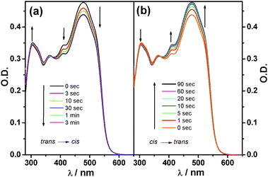 (a) Time evolution of the absorption spectra of a 4.0 × 10−6 M solution of tttt-1 in toluene under 460 nm irradiation, until the photostationary state is reached. (b) Back reaction observed over time under 313 nm irradiation. The initial spectrum of tttt-1 is fully recovered showing complete reversibility.