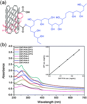 
          CPT loading on MWCNT–PVA: (a) schematic depiction of CPT loaded MWCNT–PVA, and (b) UV spectra of MWCNT–PVA and MWCNT–PVA–CPT with different concentrations.