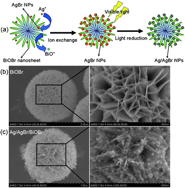 (a) The schematic synthetic route to Ag/AgBr/BiOBr hybrid. Typical SEM images of (b) BiOBr, and (c) Ag/AgBr/BiOBr hybrid.