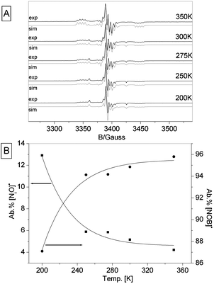 
            EPR spectra [A] of the NB6-6 sample recorded at 0.1 mW microwave power and variable temperature in the range 200 K–350 K. Each experimental spectrum is reported with the corresponding simulation. [B] Abundance of the [NOB]˙ (●) and [NiO]˙ (■) species as a function of recording temperature.