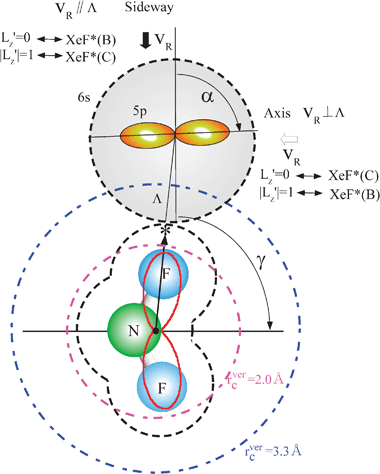 Schematic drawings of the collision-induced harpooning mechanism with the geometry of NF3 molecule and the molecular steric opacity function for the XeF* (B) channel at |LZ′| = 1 (red line). A good correlation is recognized between the direction of the reactive lobe and the F atom direction (*) from the center-of-mass of NF3. The crossing distances (rverc) between the covalent potential surface [Xe*(3P2) + NF3] and the ionic surface [Xe+ (2P3/2) + NF3−] within the Franck–Condon region (−0.5 > EAver (NF3) > −3.5 eV) are shown by the dashed-dotted line circles for each vertical electron affinity (EAver (NF3)) of NF3; rverc = 2.0 Å for EAver (NF3) = −3.5 eV, rverc = 3.3 Å for EAver (NF3) = −0.5 eV. Dashed line indicates the van der Waals surface of NF3 and Xe*(3P2) as the approximate position of the repulsive wall. The painted arrow indicates the sideways relative velocity (vR). γ is the molecular orientation angle and α is the atomic orbital alignment angle with respect to the relative velocity vector (vR). The outline arrow indicates the relative velocity (vR) for the axial direction. The LZ′ selectivity expected from the LZ′ conservation model at each collision geometry is shown for the XeF* (B, C) channels.