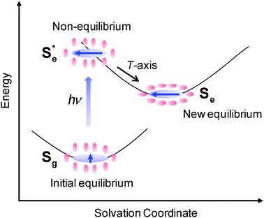 Schematic representation of the solvation dynamics. Sg represents an initial equilibrium state between the ground state solute and solvents while Se represents a new equilibrium state between the excited state solute and solvents.  is a nonequilibrium state created by an electronic excitation of the solute.