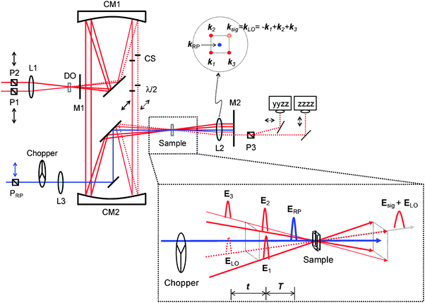 Layout of RP-PORS experimental setup. P1, P2, and PRP, Glan Taylor polarizers; P3, Rochon polarizer; DO, diffractive optical element; CM, parabolic mirrors; CS, cover slips; M, mask; L, lens; λ/2, half waveplates.