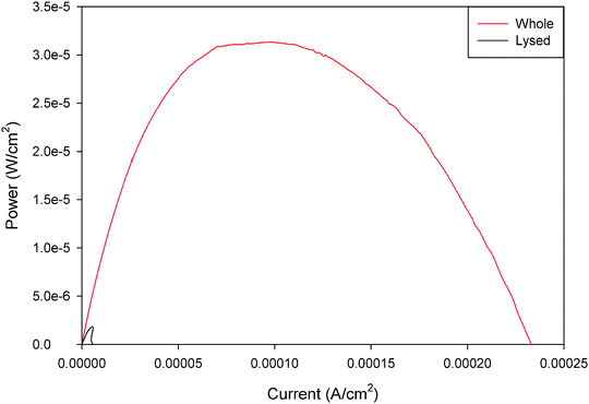 Representative power curves for unmediated whole and poly(methylene green) mediated lysed mitochondrial bioanodes in pyruvate/air biofuel cell. Both fuel solutions contained 10 mM pH 7.45 phosphate buffer with 100 mM pyruvate fuel and 6 M NaNO3 supporting electrolyte with 1 mg ml−1 ADP. The lysed bioanodes had an additional 1 mg ml−1 of NAD+ in the fuel solution.24 Reprinted with permission from Elsevier.