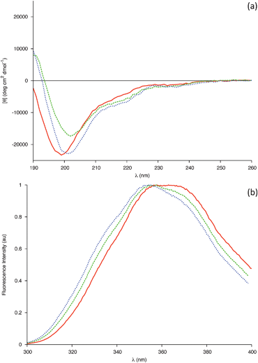 (a) Far-UV CD spectra of 0.04 mM gp41659–671 in 20 mM sodium phosphate buffer pH 6.83 (Solid line), in 20 mM sodium phosphate buffer and 50% Methanol (Dashed line) and in 20 mM sodium phosphate buffer and 50% Acetonitrile (Dotted line). (b) Intrinsic Trp fluorescence of the 0.04 mM gp41659–671 in 20 mM sodium phosphate buffer pH 6.83 (Solid line), in 20 mM sodium phosphate buffer and 50% Methanol (Dashed line) and in 20 mM sodium phosphate buffer and 50% Acetonitrile (Dotted line).