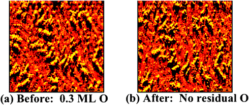 Scanning tunneling microscope images show that the Au surface morphology remains essentially unchanged after removal of all atomic O viaCO oxidation at 300 K; thus, the particles observed in the images contain Au. (a) A gold surface containing 0.3 ML of atomic O at 300 K; and (b) the same area of the surface observed with in situ scanning of the surface while reacting with CO (p = 5 × 10−8 torr for 5 min, 300 K) to remove all O. That the O was quantitatively removed by this treatment was confirmed in separate experiments using analogous treatment followed by temperature programmed experiments in which no O2 evolution at ∼550 K, characteristic of O recombination on Au, was detected.