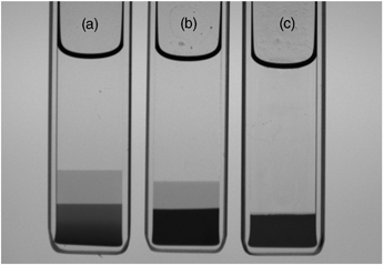 Photographs corresponding to the three equilibrium samples circled in Fig. 1. (a) Three phases at Cp/C* = 0.74 and 1 : 3 large : small particles (by volume); (b) three phases at Cp/C* = 0.74 and 1 : 1 large : small particles; (c) two phases at Cp/C* = 0.74 and 3 : 1 large : small particles. Samples have an internal width of 10 mm and a thickness of 2 mm.