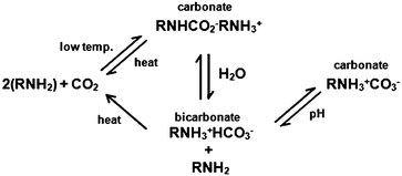 CO2 reaction pathway with a primary amine.110