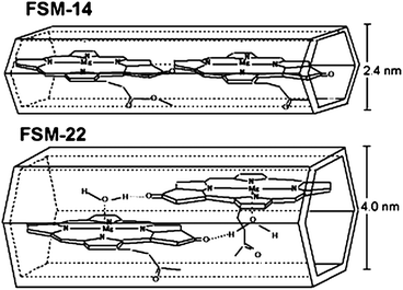 Tentative arrangement in chlorophyll–FSM.114