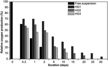 Comparison of enzymatic stability (10 °C) of entrapped thylakoids within different ratios of silica gels to free thylakoids. The gels are synthesized with different silica precursor concentrations: HG1: [Si]sol = 1.0 M; HG2: [Si]sol = 1.2 M; HG3: [Si]sol = 1.6 M. Time zero corresponds to the moment at which thylakoids have been isolated.118