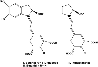 Betalain pigments.31