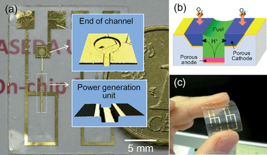 (a) Photograph of an on-chip fuel cell fabricated on a cycloolefin polymer film (two cells are on a single film). Insets: Confocal microscope images of the end of the microchannel (upper image), where fuel solution is dropped to supply the power generation section (lower image) by a strong capillary force. (b) Schematic illustration of the power generation mechanism. Fuel is oxidized on the porous anode, the protons thus-generated transfer through the solution to the cathode, where the protons and oxygen from air react to form water. (c) Demonstration of the flexibility of the cell.