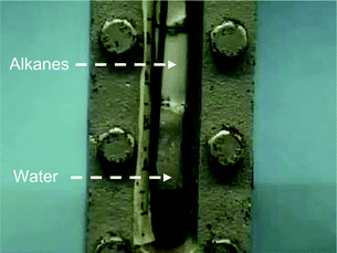 Picture showing spontaneous separation between aqueous phase and liquid alkanes produced by processing of biomass-derived molecules in a four-phase flow reactor. Source: Dumesic's Research Group web site, http://jamesadumesic.che.wisc.edu/index2.htm.