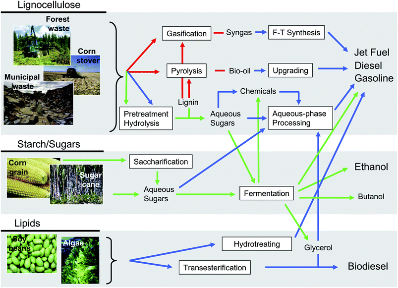 Routes for the conversion of biomass into liquid fuels. Red arrows refer to thermal routes, green arrows refer to biological routes, and blue arrows refer to catalytic routes. Adapted from ref. 25.