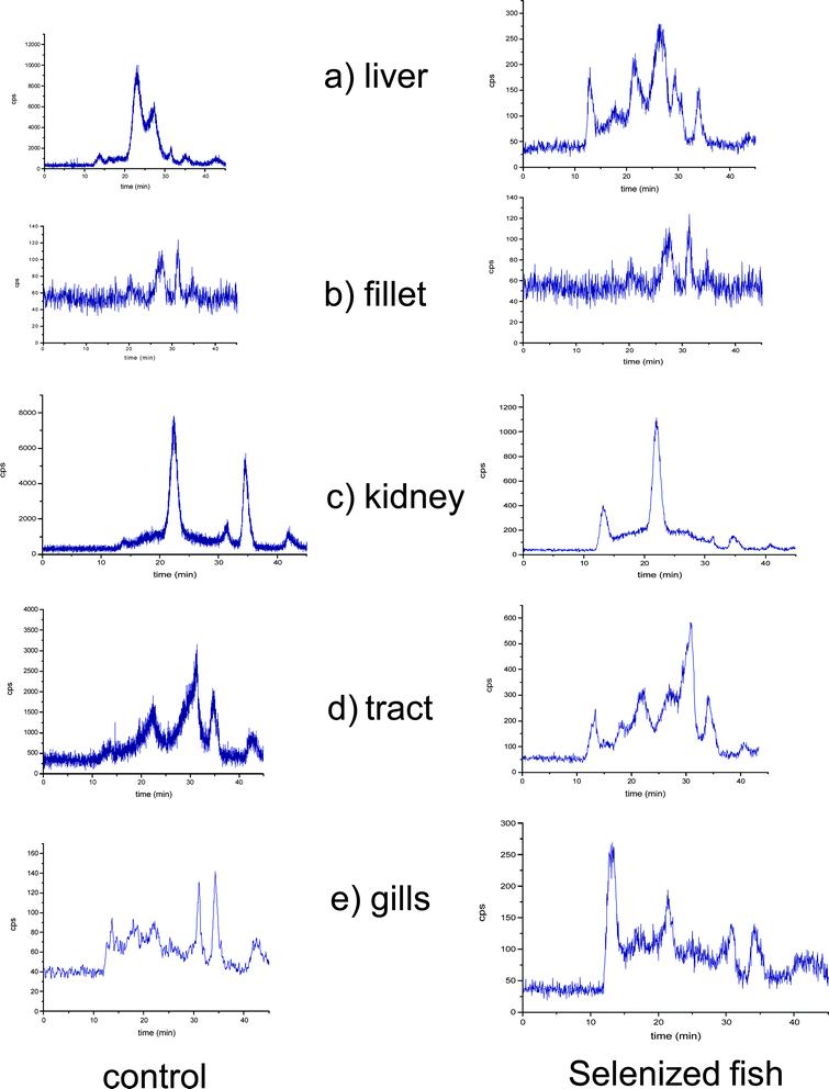 Size exclusion chromatograms obtained using a Superdex-200 column (10–600 kDa) and ICP-MS as detection system at m/z = 80. a) liver, b) muscle tissue, c) kidney, d) tract and e) gills. Control (left panel) and Se-enriched samples (right panel).