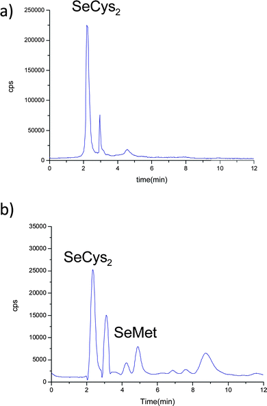 Chromatograms on PRP-X100 obtained by LC-ICP-MS at m/z = 80, corresponding to buffered extraction in a control temperature incubation. a) liver and b) kidney of control animals.