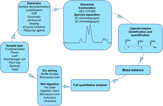 Workflow of parallel speciation and full-quantitative analysis. The extraction is followed by elemental fractionation and complex/ligand identification and quantification. The quantified species should eventually be presented in a mass balance to determine their accumulated amount relative to the total.