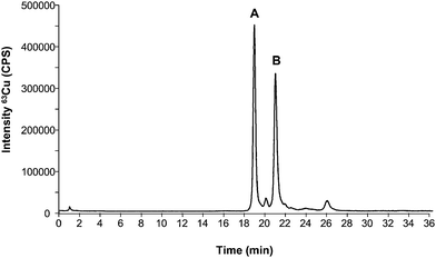 Copper profile by HPLC-ICP-MS corresponding to a mixture of a standard of bovine SOD1 (A) and human SOD1 (B) in an approximated ratio of 1 : 1 (400 ng ml−1 as Cu or 100 μg mL−1 as SOD).