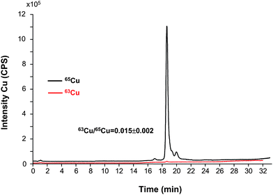 Chromatogram of the isotopically enriched bovine SOD1 obtained in the laboratory for the two copper isotopes and the corresponding isotope ratio on the SOD1 peak (250 μg mL−1 SOD obtained by dilution of the synthesized standard).