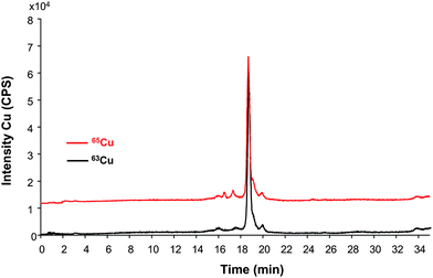 Chromatogram of the extracted SOD1 from bovine red blood cells by HPLC-ICP-MS after spiking with isotopically enriched bovine SOD1 right after lysis and used for quantitative purposes (approximately 10 μg mL−1 as SOD). Red trace is off-axes (10000 cps) for clarity.