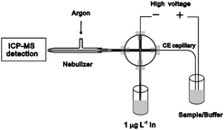 Schematic diagram for the interface of SC-CE hyphenated with ICP-MS.