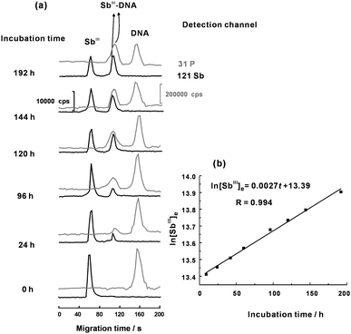 (a) A series of electropherograms for evaluating the k value obtained by incubating 2.0 μmol L−1 of DNA with 2.0 μmol L−1 of SbIII at different reaction time course. (b) Plot for determining k value. Other conditions as shown in Table 1.