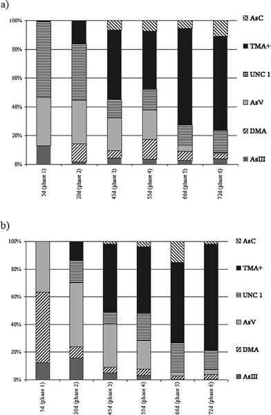 Distribution of the As compounds found in the aqueous extracts in the two exposure experiments a) R. perezi exposed to 50 ng As g−1. b) R. perezi exposed to 100 ng As g−1. UNC1 represents an unidentified As compound that eluted from the column (Dionex AS-7) between iAsVand AsB.