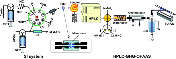 Flow manifold for the arsenic speciation system integrating preconcentration-LC separation-gradient hydride generation-quartz flame atomic absorption spectrometry. SP1, SP2: syringe pumps; HC: holding coil; C1: MnO2 mini-column; C2: cellulose fibre mini-column; SV: selection valve; W: waste; S: sample; GLS: gas liquid separator. Valve position I: 6 mol L−1HCl for the hydride generation of As(v), As(iii) and MMA. Valve position II: 0.6 mol L−1HCl for the hydride generation of DMA.