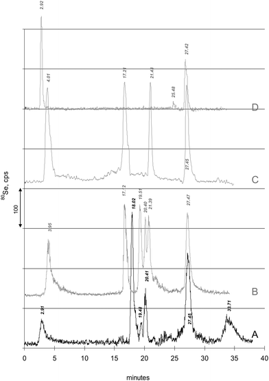 Retention time match of peaks is shown. For comparison and peak matching or mismatching, the typical chromatogram of a CSF sample “A” is plotted. Elution times of Se-peaks are indicated at peak maxima. Grey lines: “B”: Chromatogram of SeM (3.95 min), GPx (17.12 min), TrxR (19.51 min), Se-HSA (20.40 min), selenite (21.39 min) and selenate (27.47 min). Se concentration was 1 μg Se/L each (for HSA/selenite mixture 1 μg L−1 selenite). A retention time match is observed for TrxR, Se-HSA and selenate. For TrxR and Se-HSA retention time was also confirmed by UV detection and 32S monitoring (not shown). “C”: Chromatogram of SeM (3.95 min), SeC (17.21 min), selenite (21.43 min) and selenate (27.40 min), each 1.5 μg Se/L. Retention time match is observed only for selenate. “D”: Chromatogram of SePP and selenate (27.40 min). SePP was prepared from human serum using Heparin-affinity chromatography. Retention time match is observed for both SePP and selenate. Aging of the SePP fraction at 4 °C resulted in a decreased SePP peak but an increase of selenate.