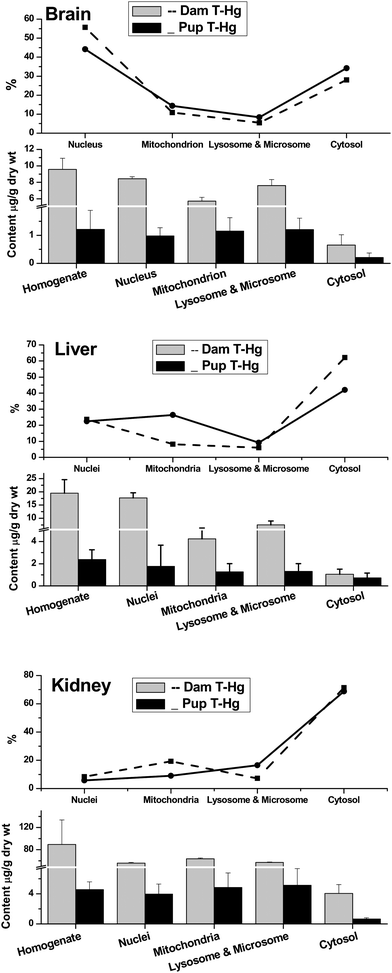 Comparison of total Hg (T-Hg) in homogenate, nuclei, mitochondria, lysosomes & microsomes and cytosol of brain, liver and kidneys between maternal and infant rats. The top broken lines present the relative percentage of T-Hg in the subcellular fractions of the whole tissues.