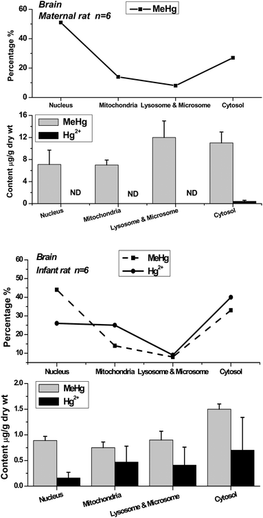 Methylmercury (MeHg) and inorganic mercury (Hg2+) in nuclei, mitochondria, lysosomes & microsomes and cytosol of maternal and infant rat brain. The top broken lines present the relative percentage of MeHg and Hg2+ in the subcellular fractions of brain.