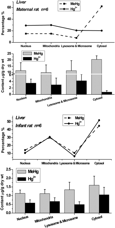 Methylmercury (MeHg) and inorganic mercury (Hg2+) in nuclei, mitochondria, lysosomes & microsomes and cytosol of maternal and infant rat liver. The top broken lines present the relative percentage of MeHg and Hg2+ in the subcellular fractions of liver.