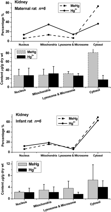 Methylmercury (MeHg) and inorganic mercury (Hg2+) in nuclei, mitochondria, lysosomes & microsomes and cytosol of maternal and infant rat kidneys. The top broken lines present the relative percentage of MeHg and Hg2+ in the subcellular fractions of kidneys.