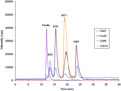 SEC-ICP-MS chromatograms of standards used for column calibration. Ferritin (440 KDa), bovine serum albumin (BSA, 67 KDa), superoxide dismutase (SOD, 32 KDa), metallothionein I (MT-1, 7 KDa), reduced glutathione (GSH, 307 Da). Chromatographic conditions: column, SuperdexTM-75 (10 × 300 × 13μm); mobile phase, ammonium acetate 20 mmol L−1 (pH 7.4); flow rate, 0.7 ml min−1; injection volume, 20 μl.