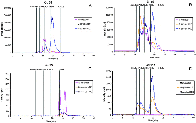 Molecular mass distribution of metal-biomolecules complexes in liver Mus spretus extracts from LDP and ROC by SEC-ICP-MS. A, Cu-containing biomolecules; B, Zn-containing biomolecules; C, As-containing biomolecules; D, Cd-binding biomolecules. In all the cases chromatograms traced for the diverse elements in liver Mus musculus extract are included for comparison. Chromatographic conditions: column, SuperdexTM-75 (10 × 300 × 13μm); mobile phase, ammonium acetate 20 mmol L−1 (pH 7.4); flow rate, 0.7 ml min−1; injection volume, 20 μl.