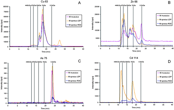 Molecular mass distribution of metal–biomolecules complexes in brain Mus spretus extracts from LDP and ROC by SEC-ICP-MS. A, Cu-containing biomolecules; B, Zn-containing biomolecules; C, As-containing biomolecules; D, Cd-binding biomolecules. In all the cases chromatograms traced for the diverse elements in liver Mus musculus extract are included for comparison. Chromatographic conditions: column, SuperdexTM-75 (10 × 300 × 13μm); mobile phase, ammonium acetate 20 mmol L−1 (pH 7.4); flow rate, 0.7 ml min−1; injection volume, 20 μl.