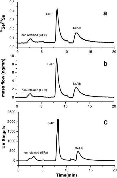 (a), Corresponding Se isotope ratio chromatograms for 80Se/78Se after mathematical corrections. (b), Mass flow chromatogram obtained for 80Se/78Se isotope ratios in a serum sample by AF-HPLC. (c), Corresponding UV signal (λ = 254) of GPx and non-retained Se compounds, SelP, SeAlb in a serum sample.