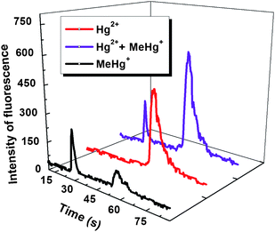 Typical signal profiles obtained from 2 μg L−1Hg2+, 2 μg L−1MeHg+, and 2 μg L−1Hg2+ + 2 μg L−1MeHg+.