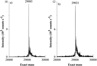 Deconvoluted mass spectra of the enzyme (a) without treatment (29085 Da) and (b) after the treatment with OP (29021 Da).