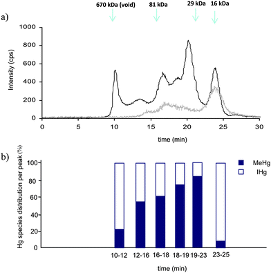 a) Typical 202Hg SEC200-ICP MS chromatograms of the water-soluble extracts obtained by sonication at 20% during 30 s (dark line) and at 40% during 60 s (grey line), b) Hg species distribution into the different size exclusion chromatographic fractions.