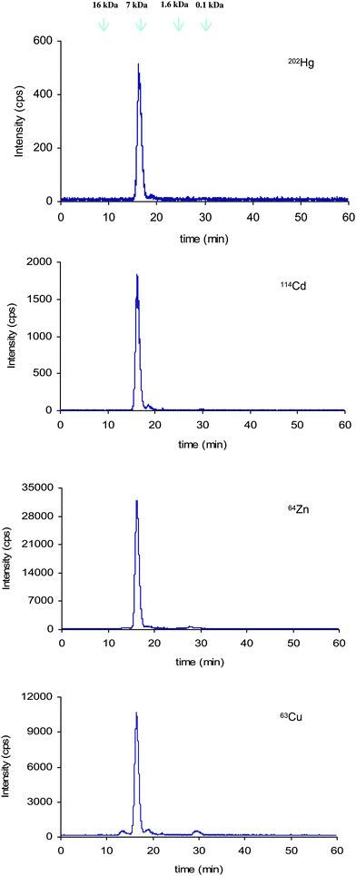 Size exclusion chromatogram (Superdex peptide) corresponding to the fraction lower than 10kDa.