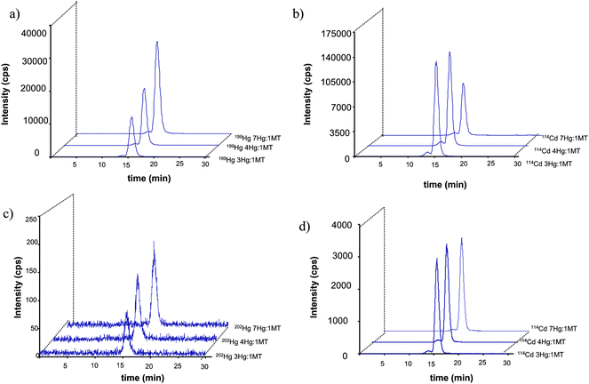 Size exclusion chromatogram (Superdex peptide) corresponding to the incubation of Cd7-MT with 199IHg (a and b) and natMeHg (c and d).